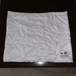 Large Coach dust bag